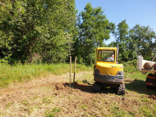 Des arbres pour le parc des Moulières