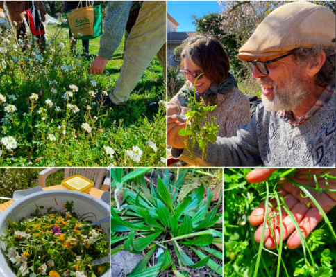 Journée cueillette au Jardin des Fées