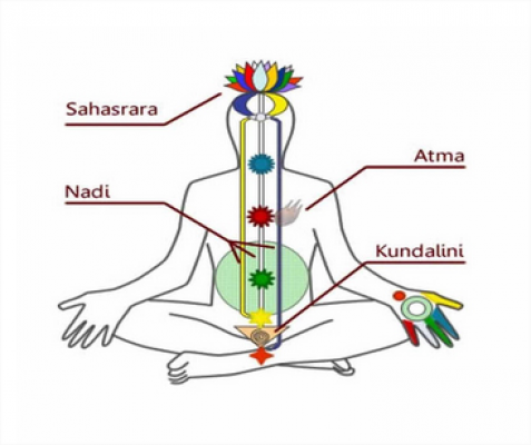 Présentation-échange sur le Yoga Sutra