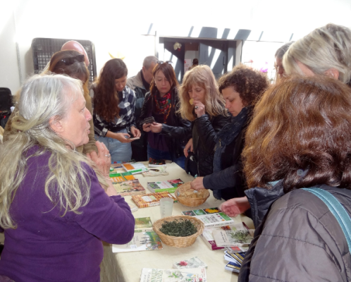Balade Plantes Sauvages et Comestibles