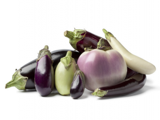 Aubergine