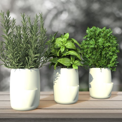 Aromatique