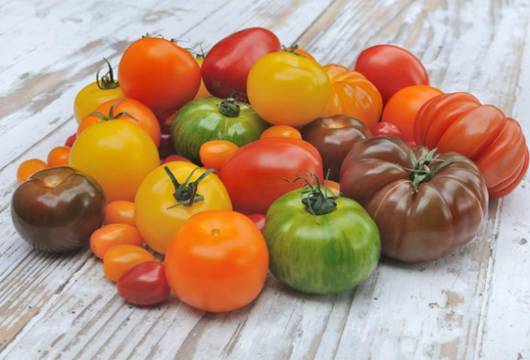 Tomate