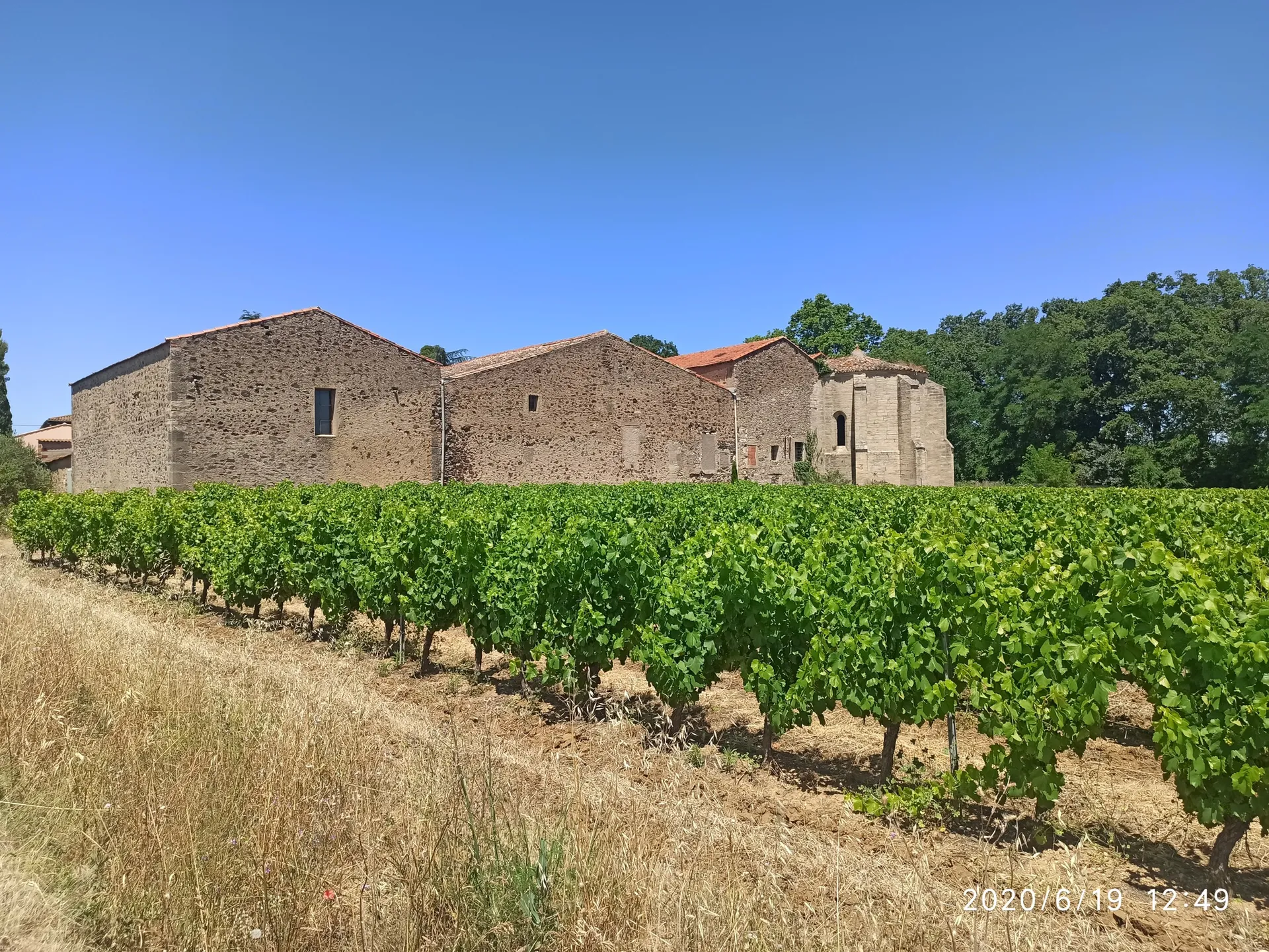De Pézenas à Alignan du vent
